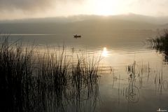 Morgennebel über dem Laacher See