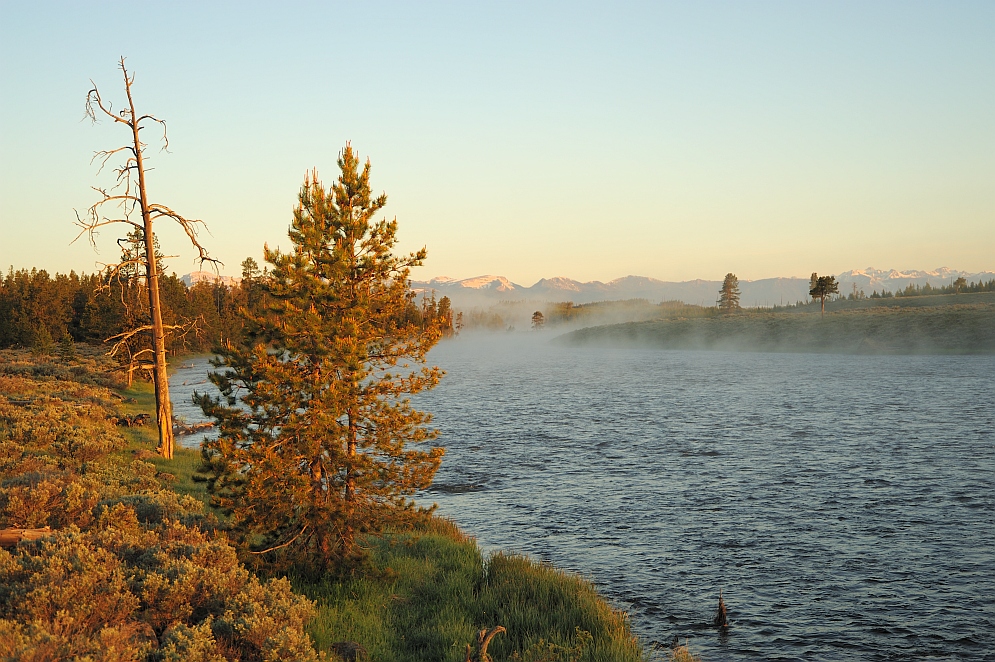 Morgennebel über dem Madison River