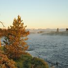 Morgennebel über dem Madison River