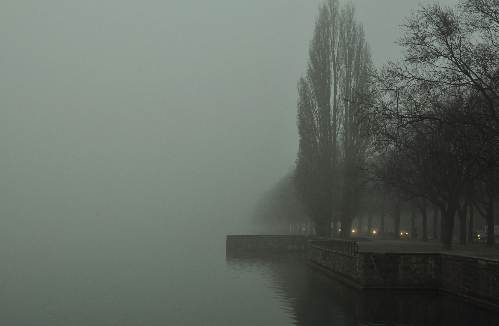 Morgennebel über dem Maschsee