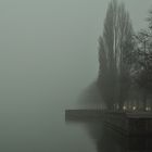 Morgennebel über dem Maschsee