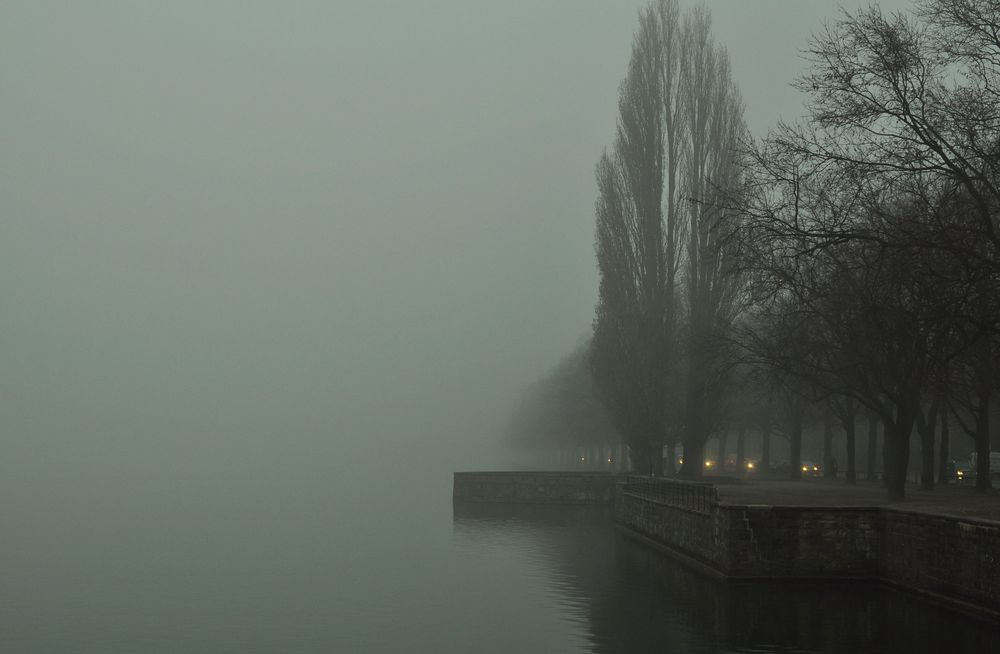 Morgennebel über dem Maschsee