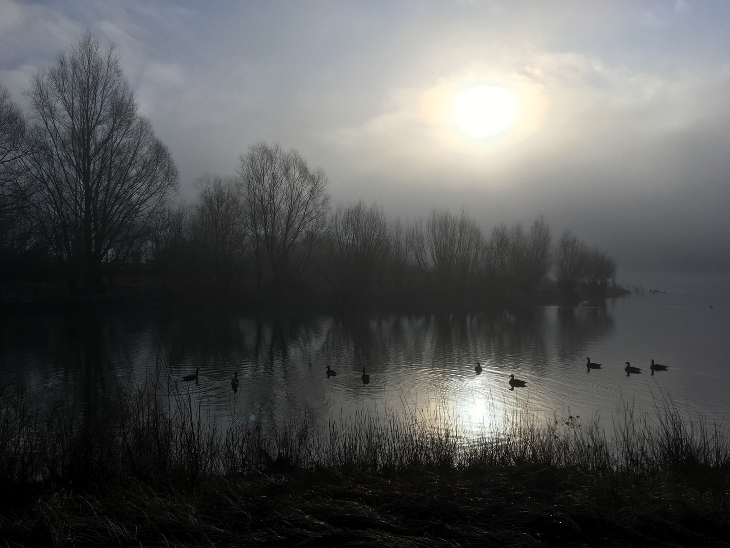 Morgennebel über dem Möhnesee