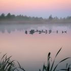 Morgennebel über dem Moorsee