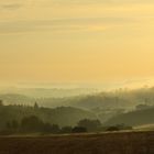 Morgennebel über dem Naheland bei Bad Kreuznach