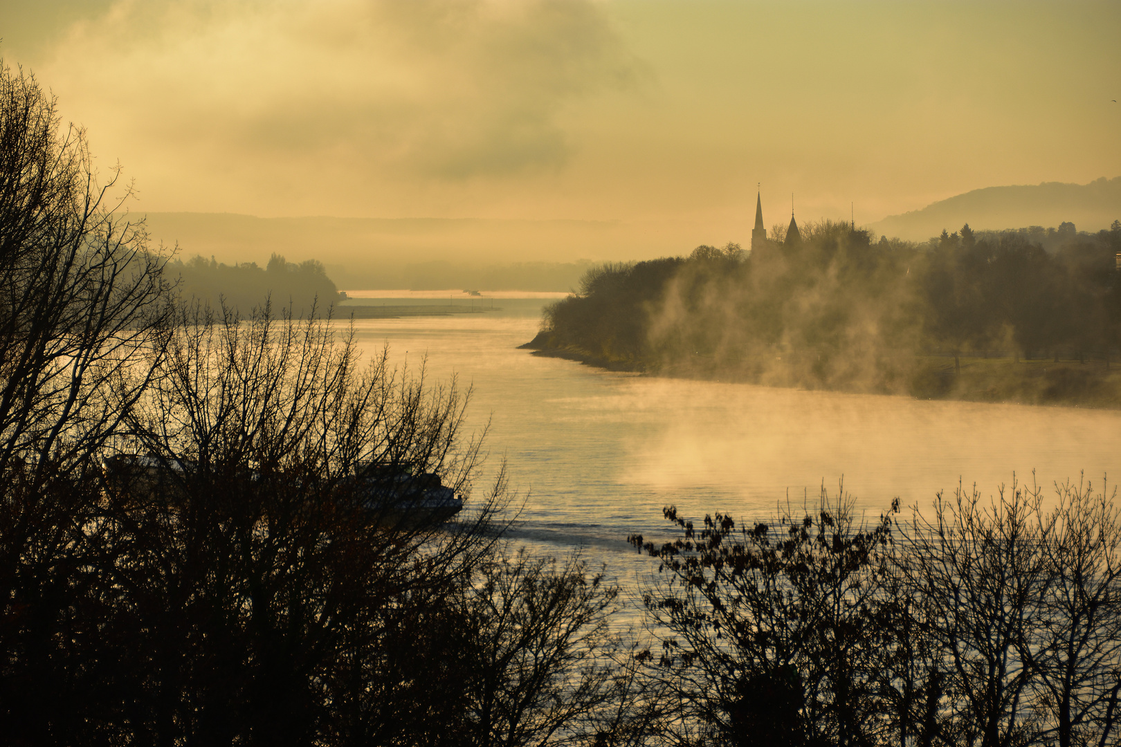 Morgennebel über dem Rhein