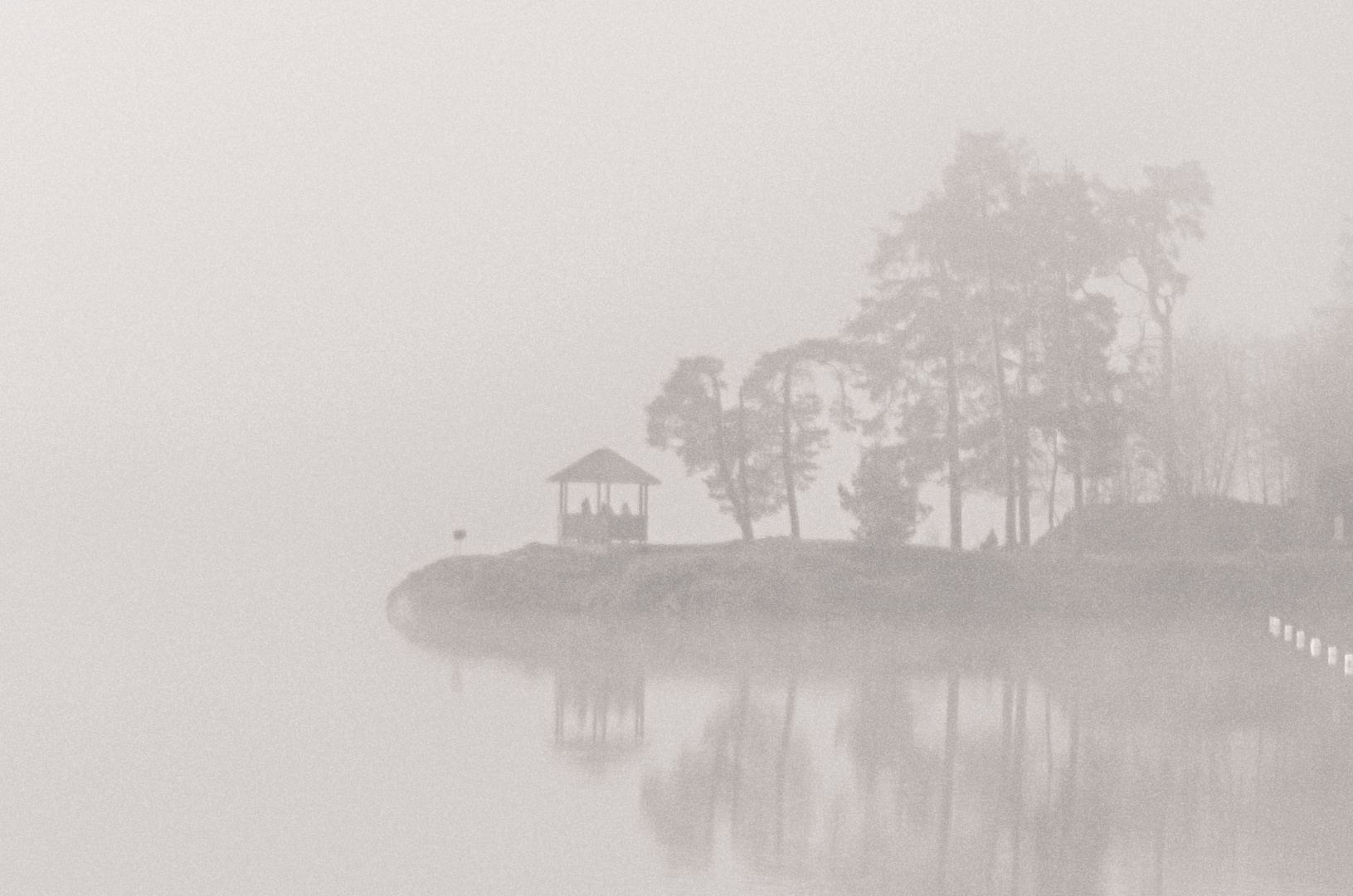 Morgennebel über dem Schluchsee