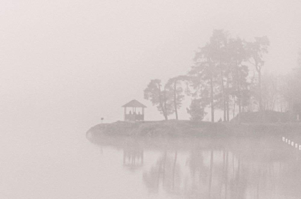 Morgennebel über dem Schluchsee