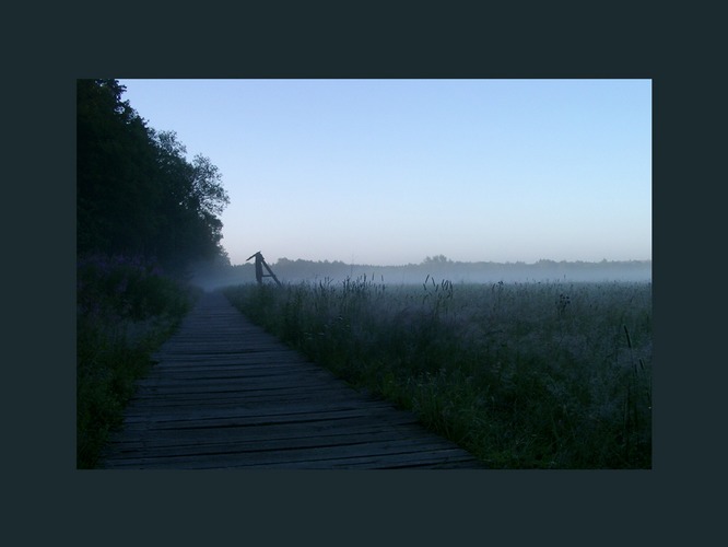 Morgennebel über dem Schwarzen Moor