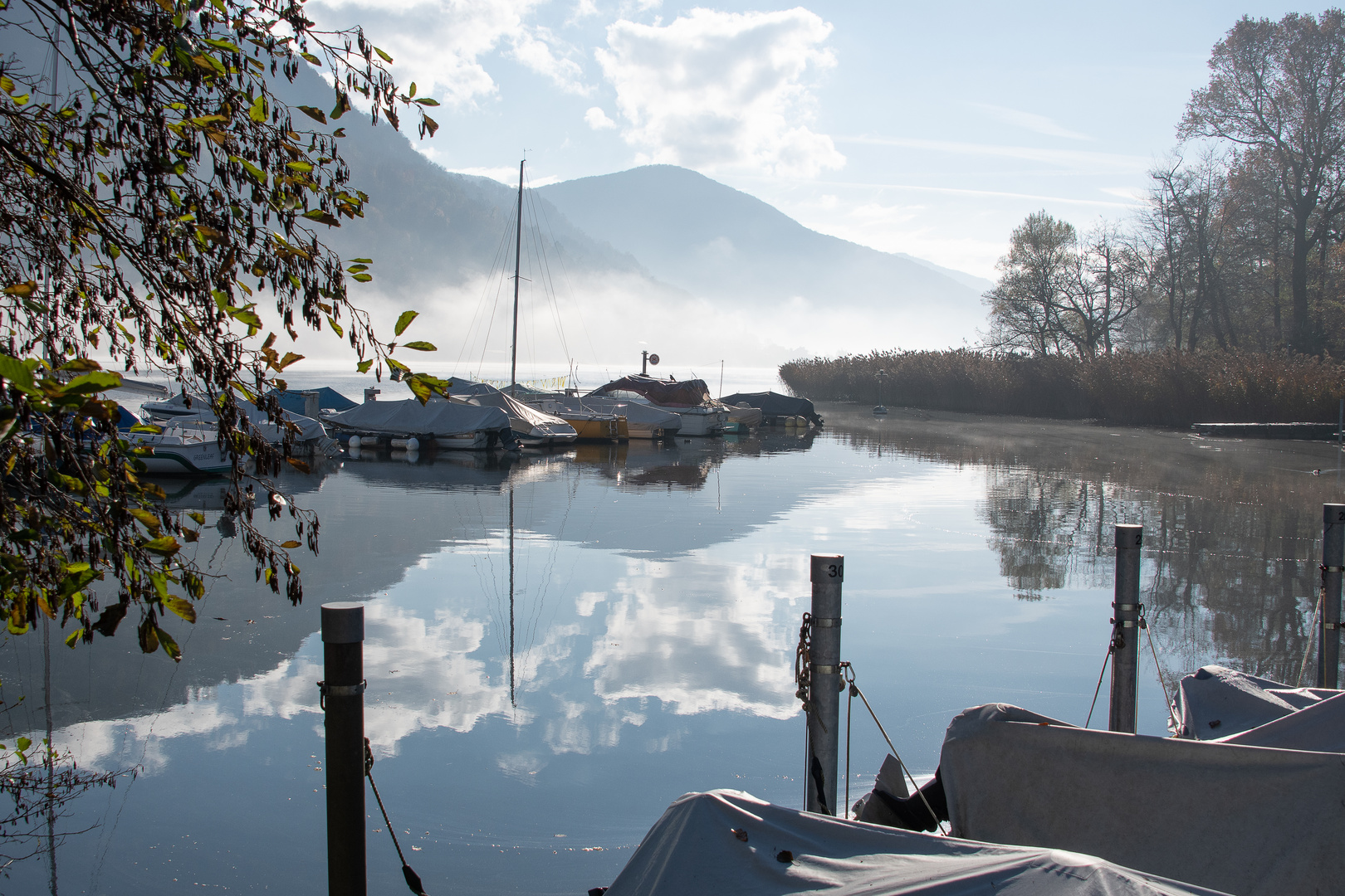 Morgennebel über dem See