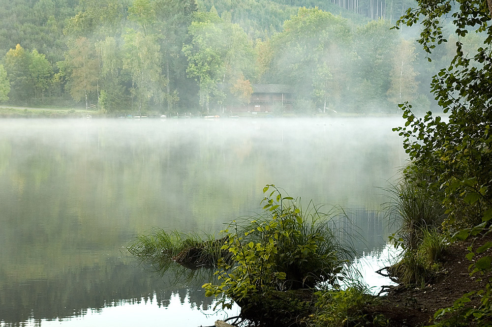 Morgennebel über dem See