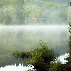 Morgennebel über dem See