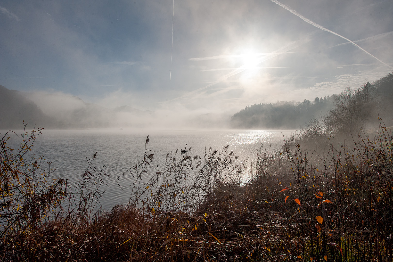 Morgennebel über dem See