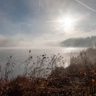 Morgennebel über dem See