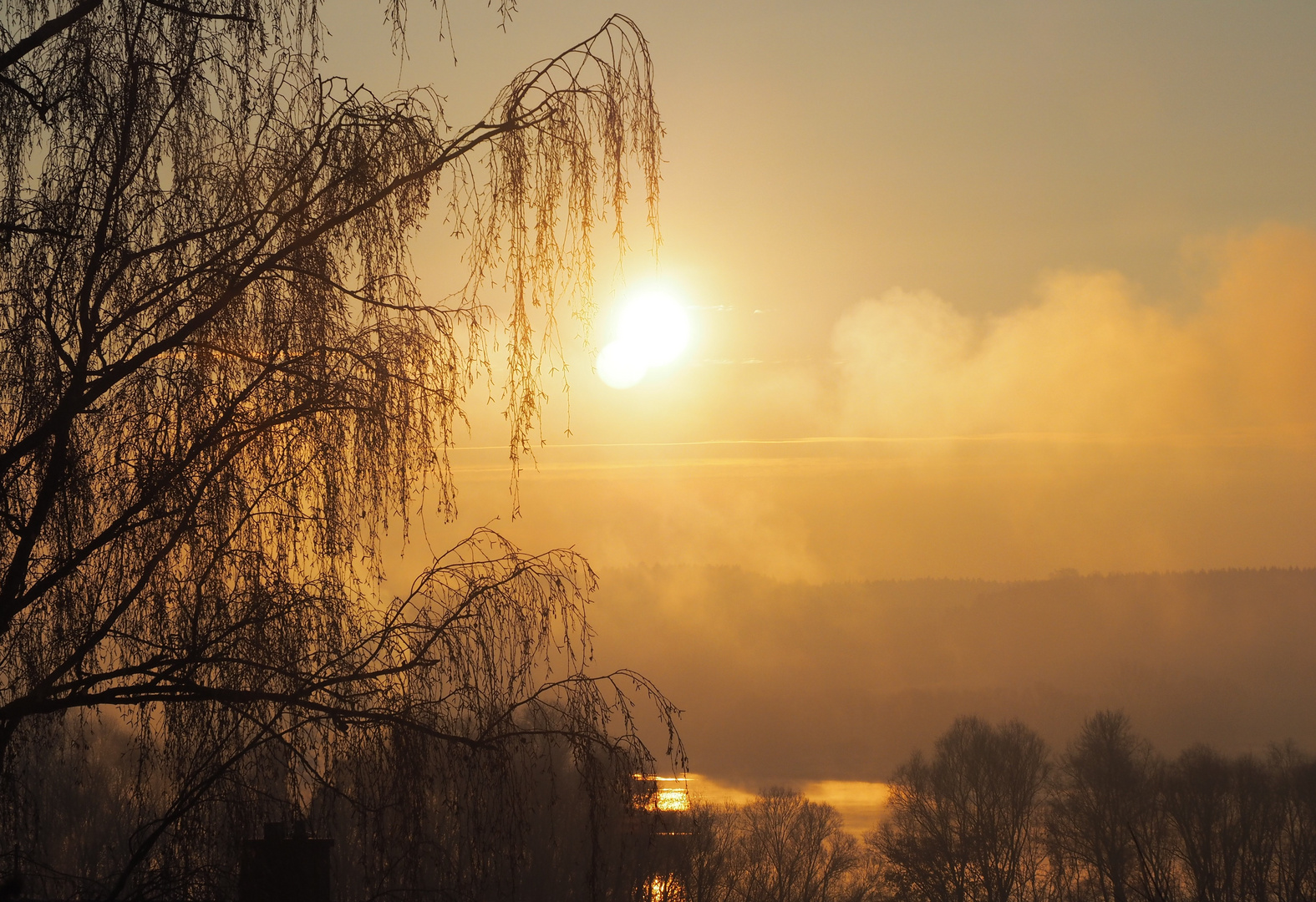 Morgennebel über dem See