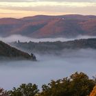 Morgennebel über dem See