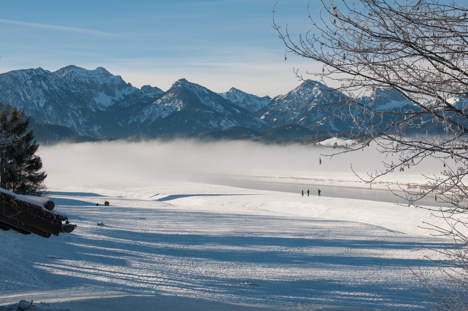 Morgennebel über dem See