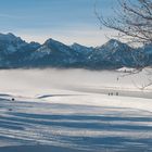 Morgennebel über dem See