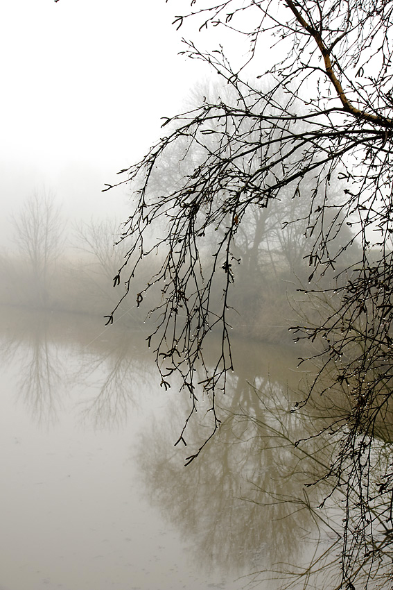 Morgennebel über dem Siel