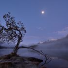 Morgennebel über dem Silsersee