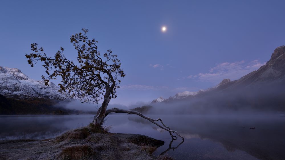 Morgennebel über dem Silsersee