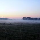 Morgennebel über dem Störtal