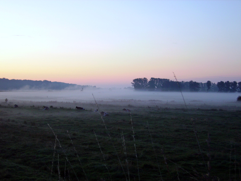 Morgennebel über dem Störtal