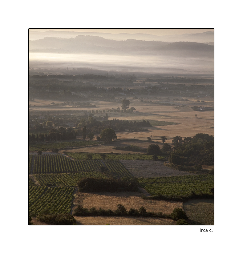 Morgennebel über dem Tal