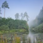 Morgennebel über dem Weiher