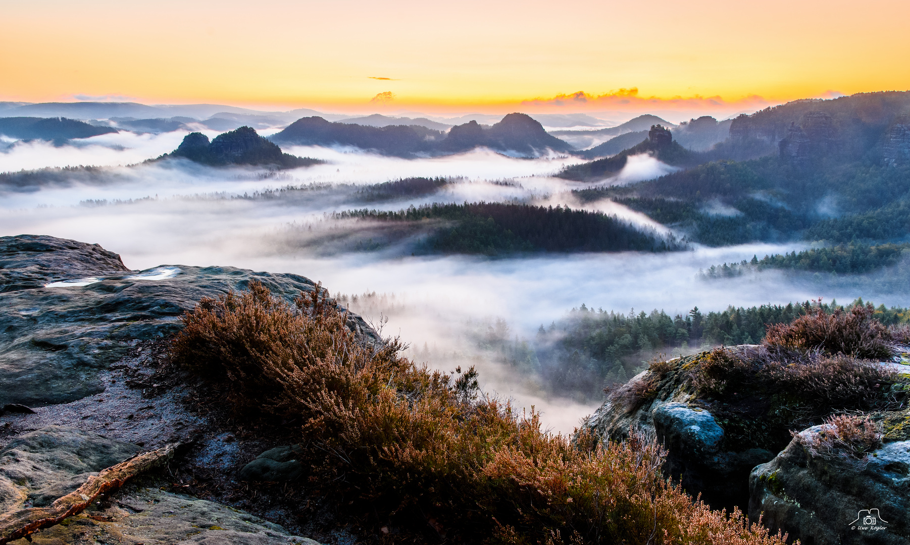 Morgennebel über dem Zschand