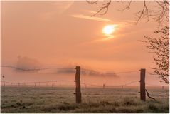 Morgennebel über den Feldern...