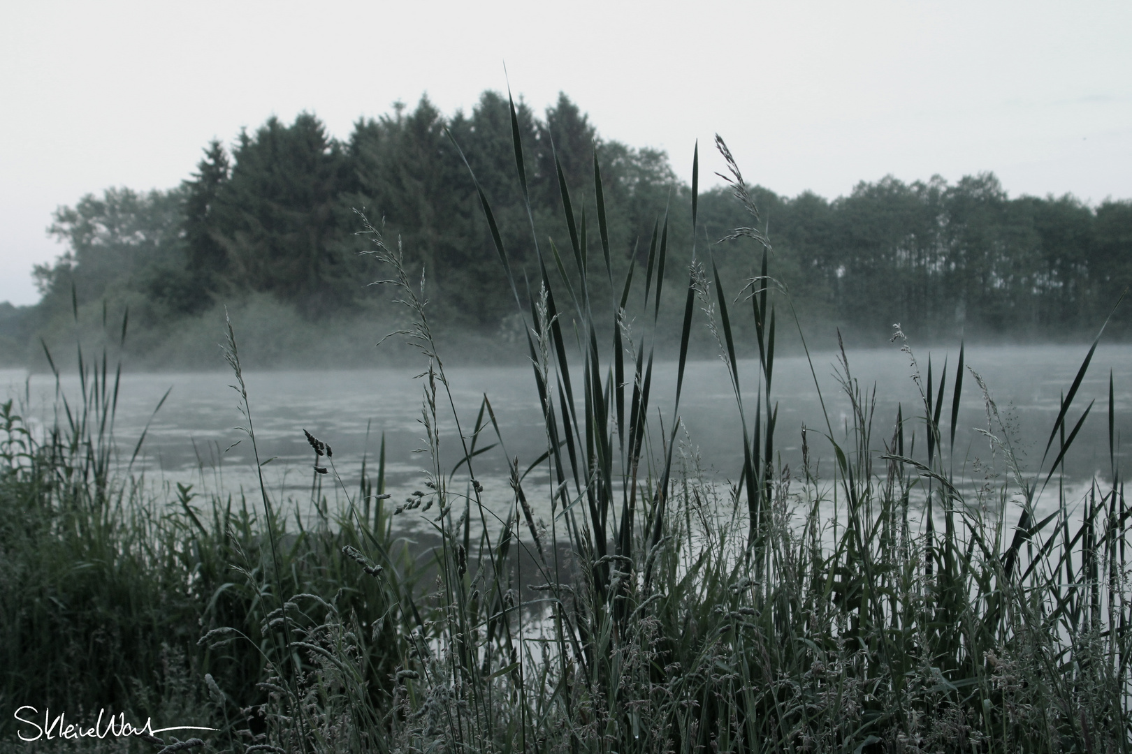 Morgennebel über den Heubachauen.