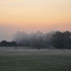 Morgennebel über den Lippewiesen