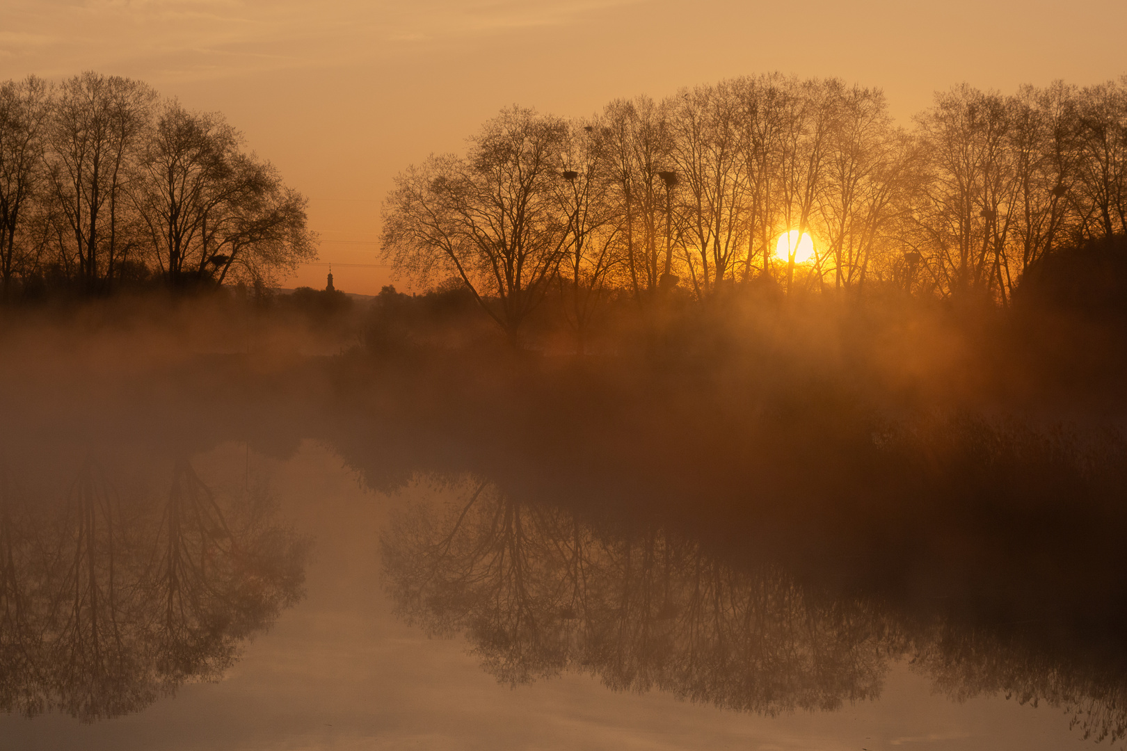 Morgennebel über den Teichen