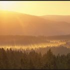 Morgennebel über den Waldwiesen am Brocken