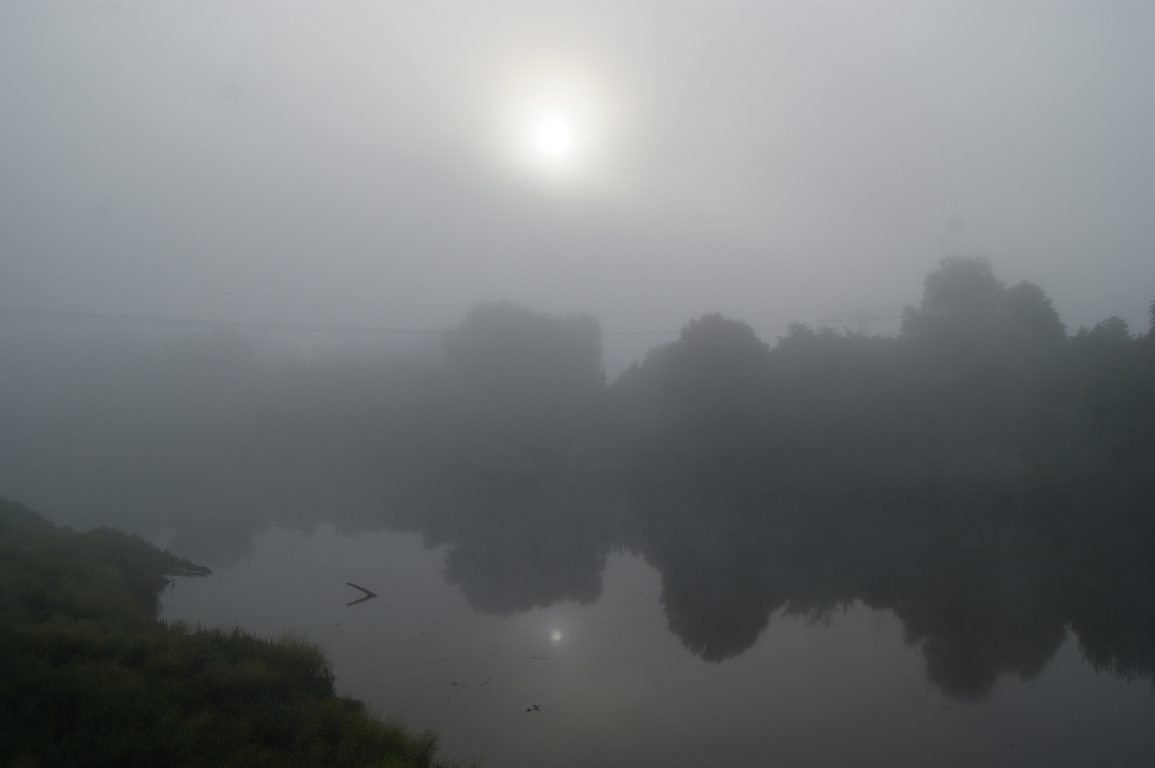 Morgennebel über der "Alten Elbe"