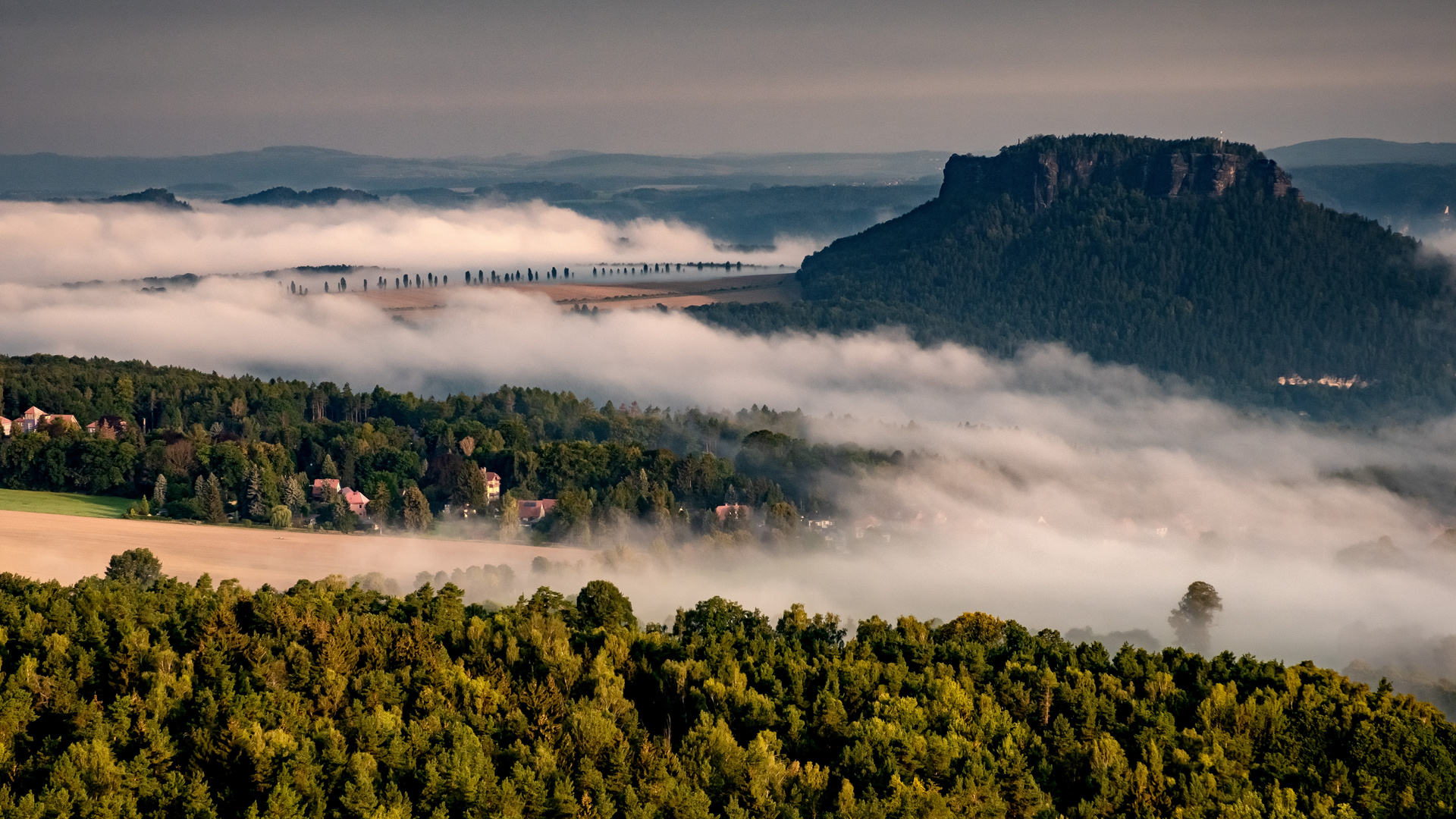 Morgennebel über der Elbe 