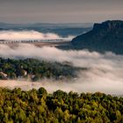 Morgennebel über der Elbe 