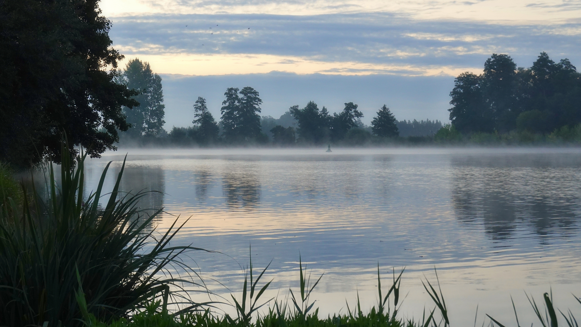 Morgennebel über der Havel