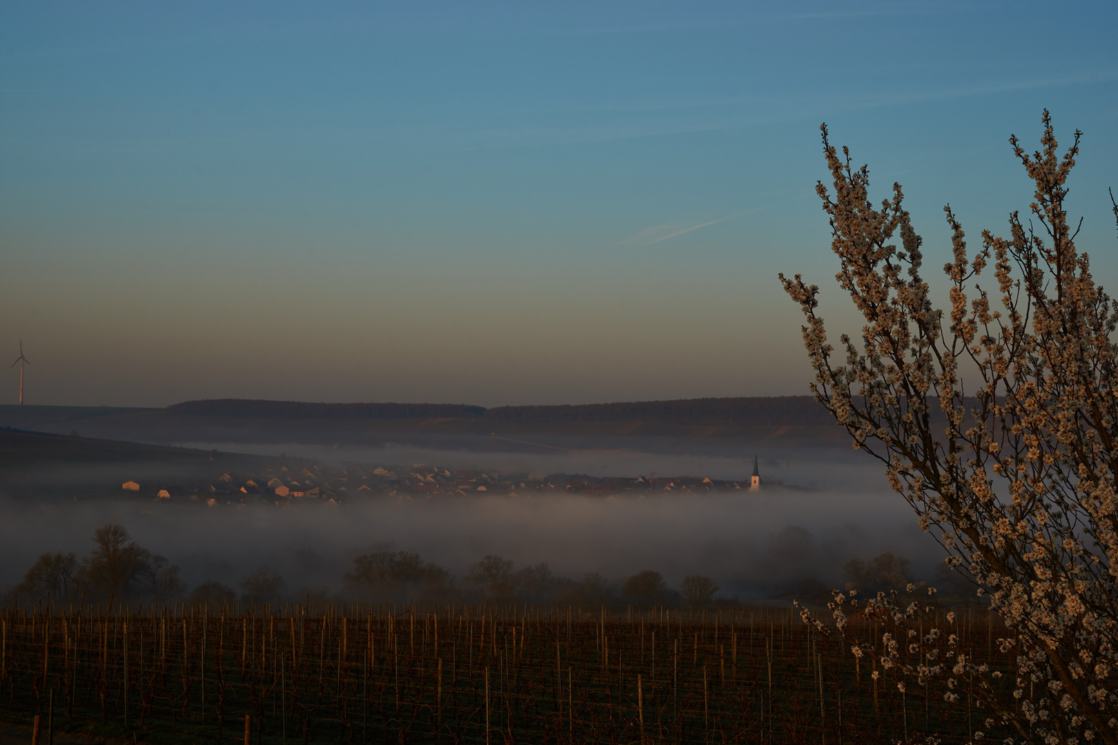 Morgennebel über der Mainschleife