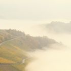 Morgennebel über der Mosel ... Voraussetzung für edelsüße Weine