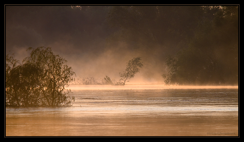 Morgennebel über der Oder