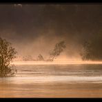 Morgennebel über der Oder