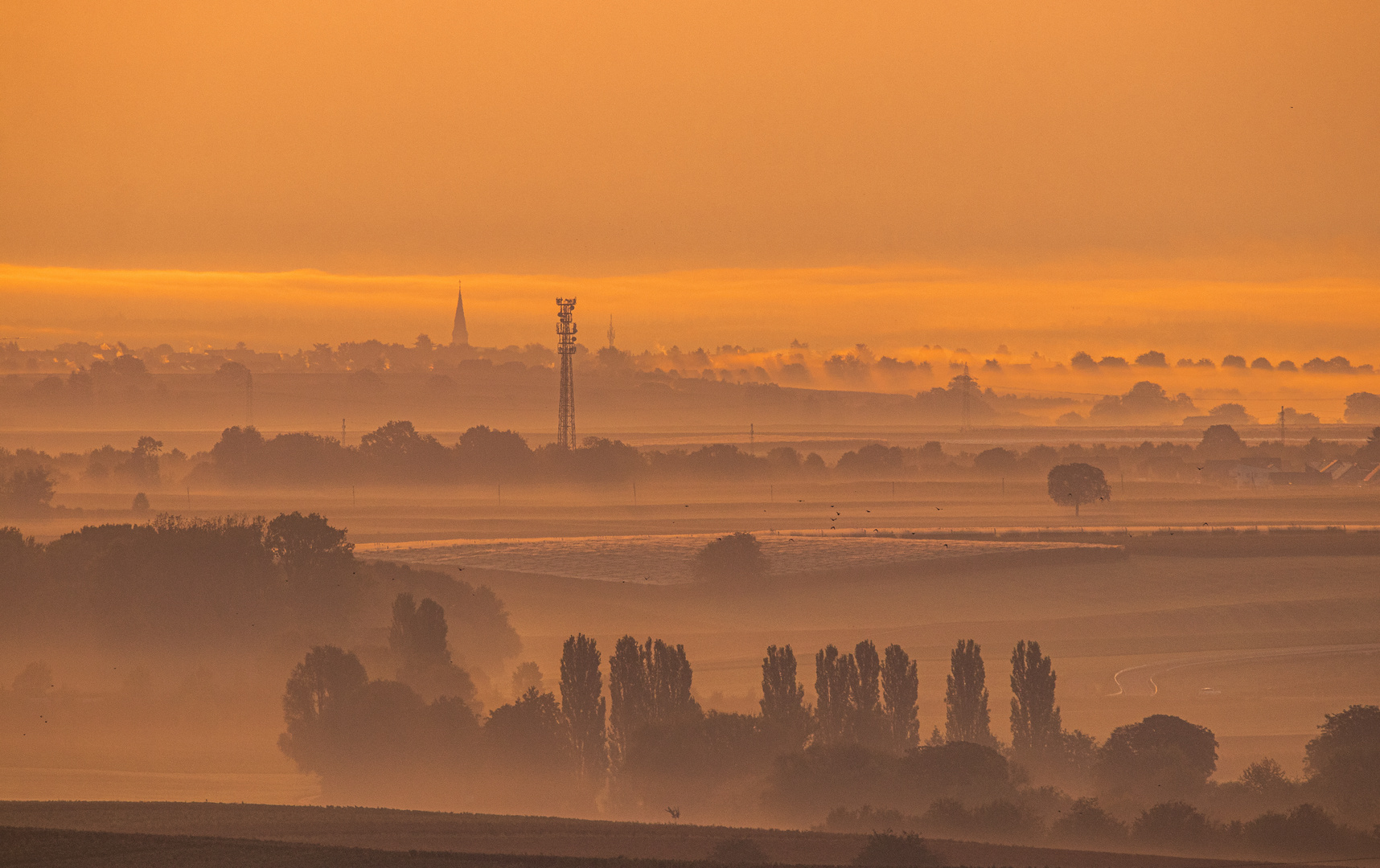 Morgennebel über der Pfalz