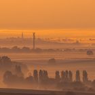 Morgennebel über der Pfalz