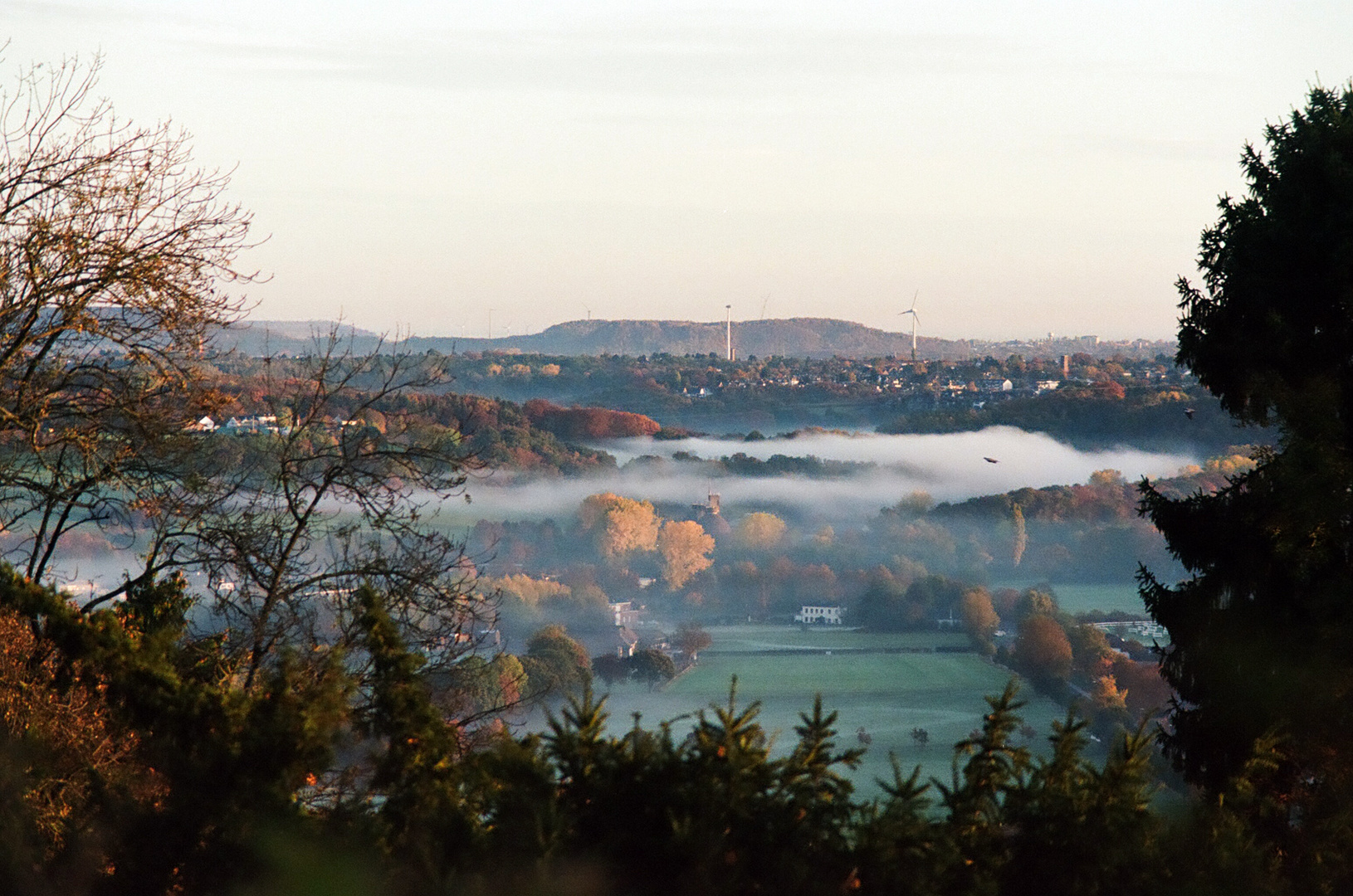 Morgennebel über der Soers in Aachen