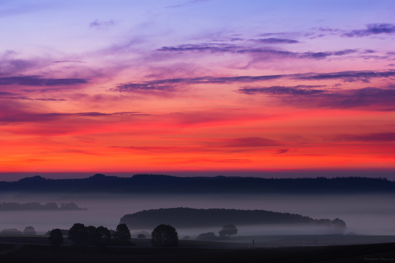 Morgennebel über der Straße