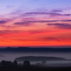 Morgennebel über der Straße