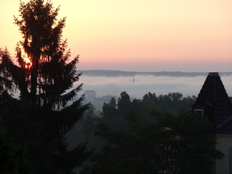 Morgennebel über Dresden