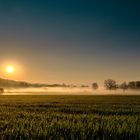 Morgennebel über Hersbruck